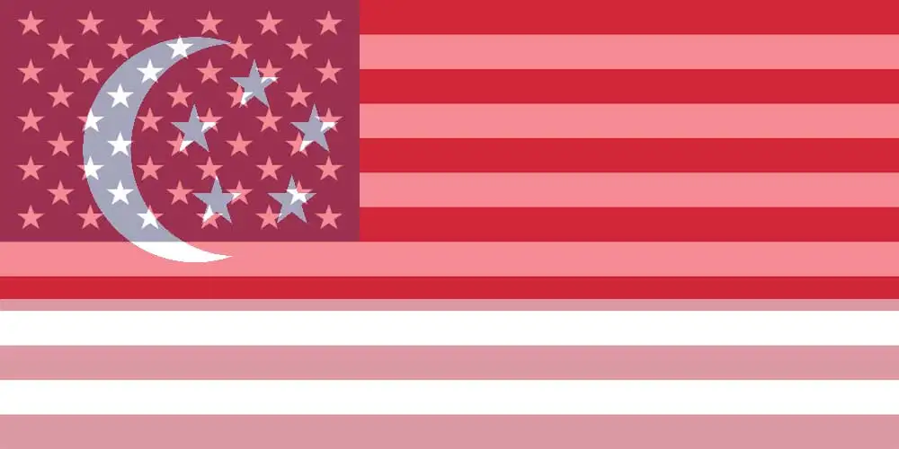 USD to SGD flags
